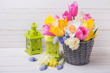 Pembe, sarı ve beyaz bahar laleler ve Nergis gri sepet ve Beyaz ahşap zemin üzerine yeşil dekoratif fenerler.