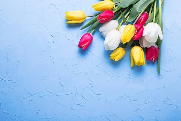 Röda Gula Och Vita Tulpaner Blommor Blå Texturerat Bakgrund Selektivt — Stockfoto