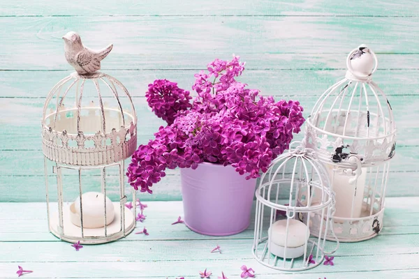 Spring lilac flowers in bucket, decorative cages with candles on turquoise wooden background.