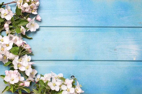 Bordüre Aus Apfelbaumblüten Auf Blauem Holzgrund Platz Für Text Selektiver — Stockfoto