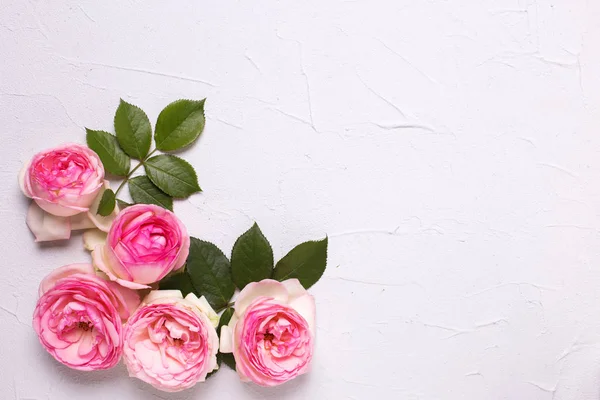 Flores Rosas Rosadas Sobre Fondo Gris Texturizado Lugar Para Texto —  Fotos de Stock