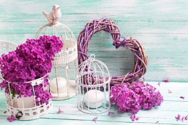 Violet Lila çiçek, fenerler ve turkuaz ahşap arka plan üzerinde kalp.