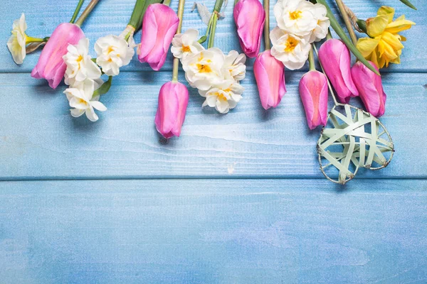 Flores Tulipanes Rosados Corazón Decorativo Sobre Fondo Madera Azul Lugar —  Fotos de Stock