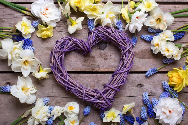 Corazón Decorativo Violeta Flores Narcisas Primavera Narcisos Sobre Fondo Madera — Foto de Stock