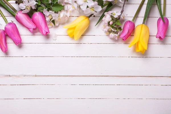 Border from apple tree flowers and pink  and yellow tulips  on white wooden background. Place for text. Selective focus