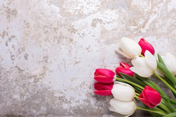 Ljusa Röda Och Vita Tulpaner Blommor Grå Texturerat Bakgrund Selektivt — Stockfoto