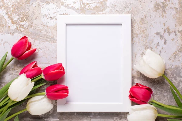 Leerer Fotorahmen Und Rote Und Weiße Tulpenblüten Auf Grau Strukturiertem — Stockfoto