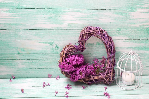Violette Lila Blüten Dekoratives Herz Und Laterne Auf Türkisfarbenem Holzgrund — Stockfoto