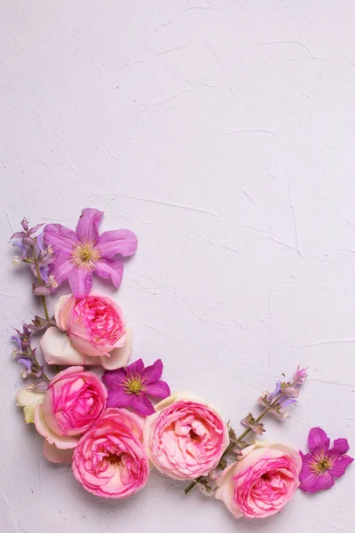 Rosa Rosor Och Violett Sommaren Clematis Blommor Grå Texturerat Bakgrund — Stockfoto