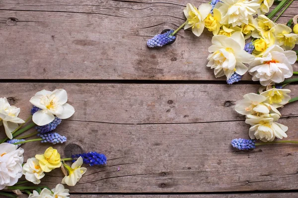 Cadre Narcisses Muscaries Fleurs Sur Fond Bois Rustique Concentration Sélective — Photo