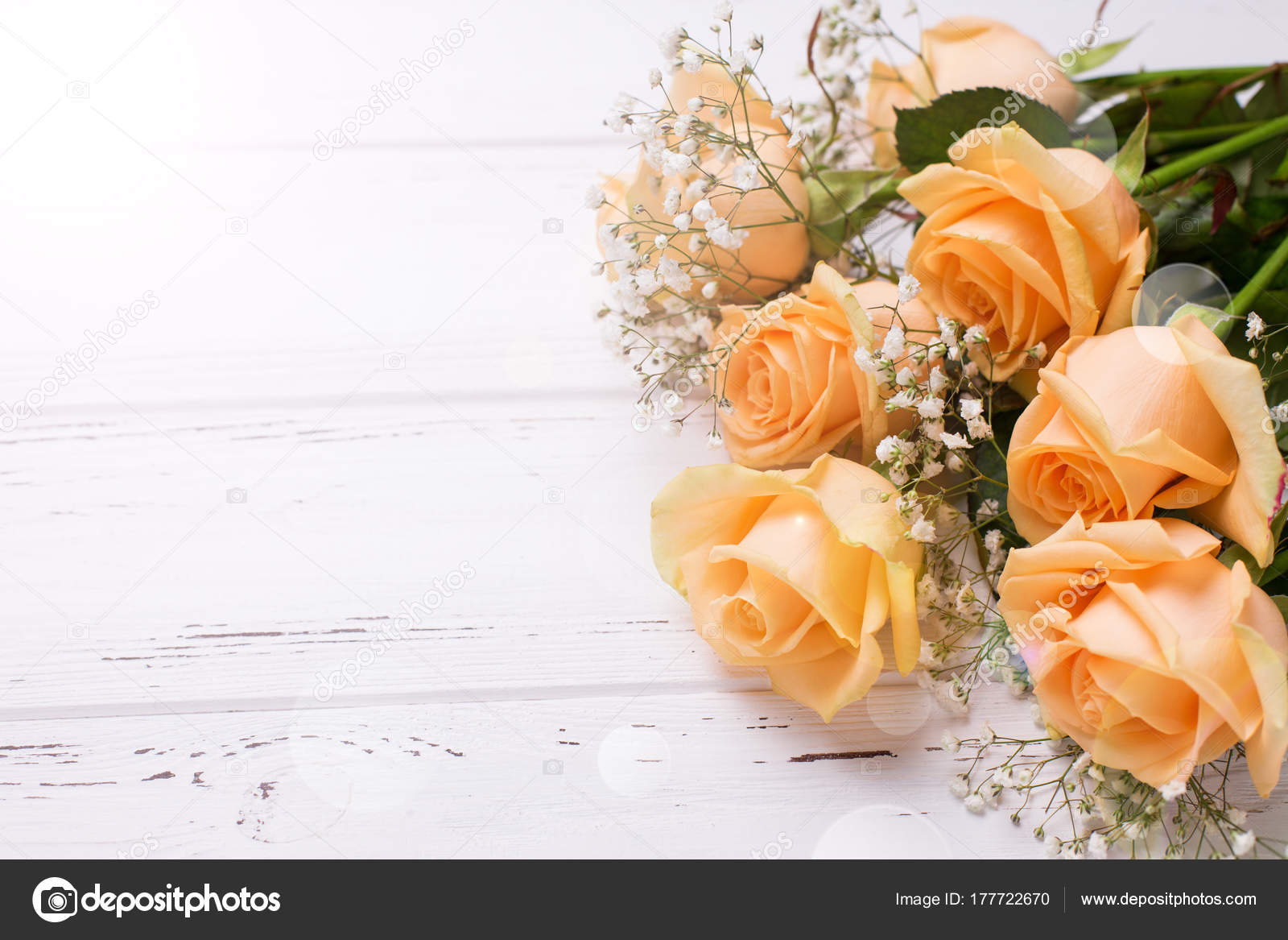 Rosas color durazno fotos de stock, imágenes de Rosas color durazno sin  royalties | Depositphotos