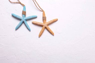 Deniz yıldızı beyaz dokulu arka plan üzerinde. Üstten Görünüm. 