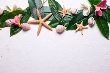 Tropikal yaprak ve deniz kabukları beyaz dokulu arka plan üzerinde kenarlık. Düz yatıyordu. Kopya alanı. 