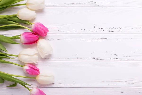 Pink White Tulips Flowers White Wooden Background — Stock Photo, Image