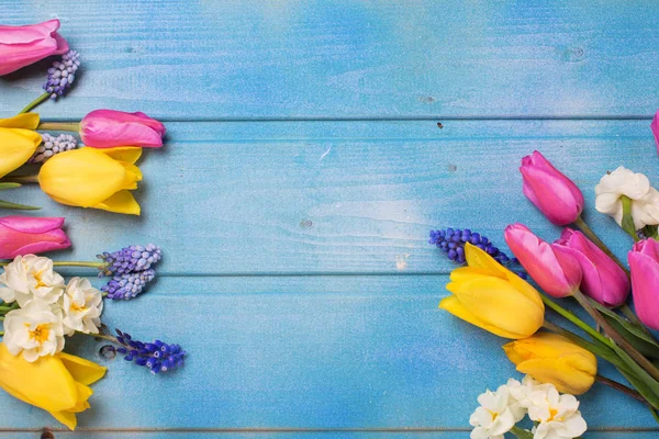 Frame Van Roze Gele Tulpen Witte Narcissen Blauwe Houten Achtergrond — Stockfoto