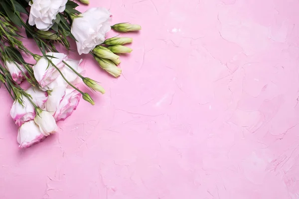 Ροζ Και Λευκό Eustoma Λουλούδια Ροζ Φόντο Υφή Floral Ομοίωμα — Φωτογραφία Αρχείου
