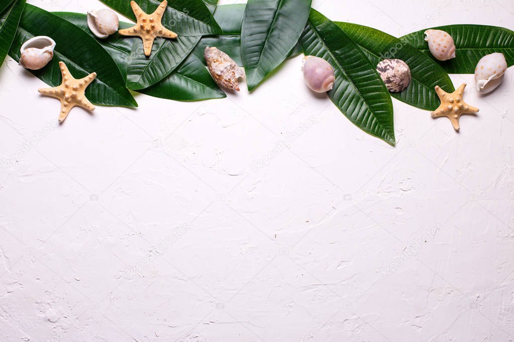 Border from tropical leaves and sea shells on white textured background. Flat lay. Copy space. 