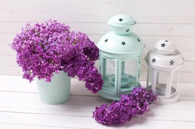 olorful bahar Eflatun çiçekler 