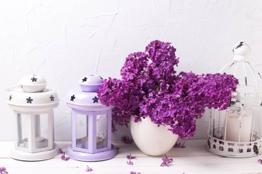 Muhteşem Eflatun çiçekler ve fenerler