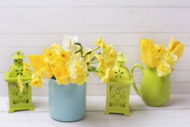 Bahar nergis veya nergis çiçek