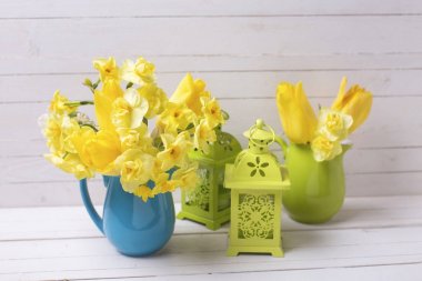 Bahar nergis veya nergis çiçek