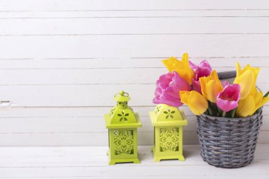 Taze bahar çiçekleri