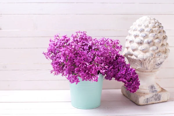 Flores lilás de primavera coloridas — Fotografia de Stock