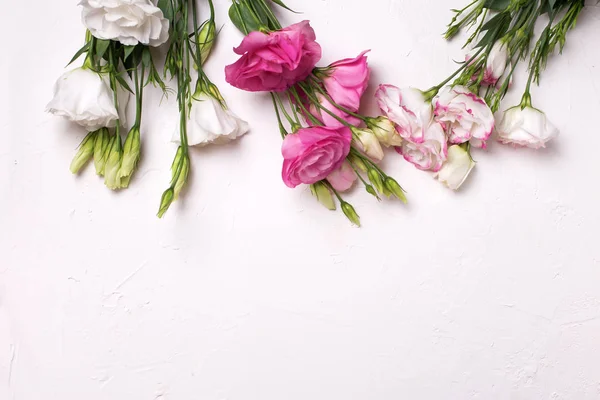 Gränsa Från Rosa Och Vit Prärieklocka Blommor Vit Texturerat Bakgrund — Stockfoto