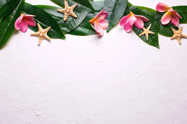 Plumeria tropical flores y hojas — Foto de Stock