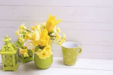 Sarı bahar nergis veya nergis çiçek 