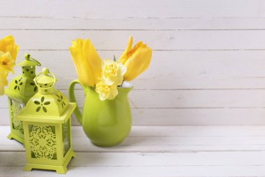 Parlak sarı bahar nergis