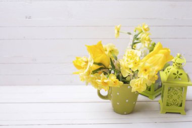 Parlak sarı bahar nergis 