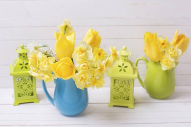 Bahar nergis veya nergis çiçek