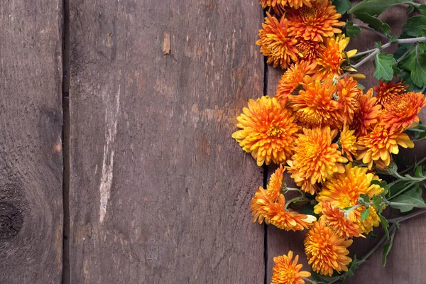 Sonbahar turuncu çiçekler — Stok fotoğraf