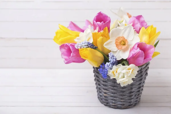 Tulipanes de primavera y narcisos — Foto de Stock