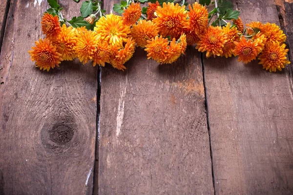 Rand aus frischen orangefarbenen Herbstblumen — Stockfoto