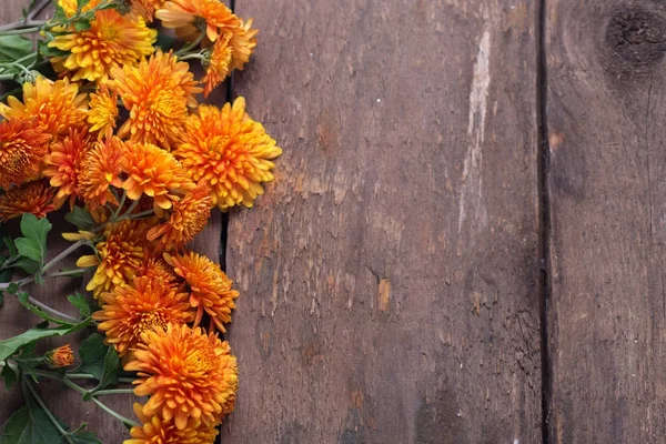 Rand aus frischen orangefarbenen Herbstblumen — Stockfoto