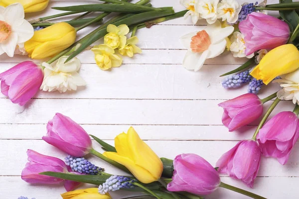 Marco de flores de primavera —  Fotos de Stock