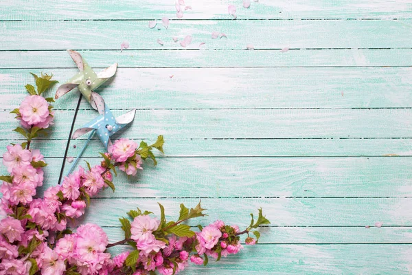 Bleke roze amandel bloemen — Stockfoto