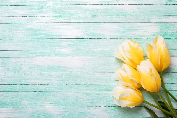 Background with  fresh spring tulips. — Stock Photo, Image