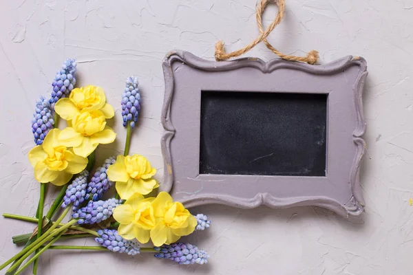 黄色と青の春の花 — ストック写真