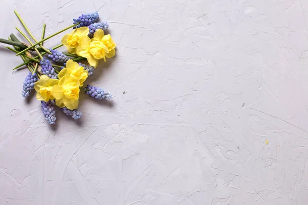 Amarillo y azul Flores de primavera —  Fotos de Stock