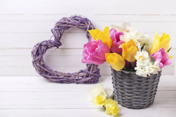 Tulipanes de primavera y narcisos flores —  Fotos de Stock