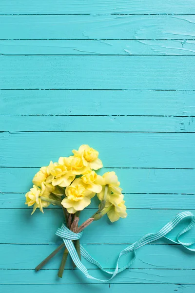 Yellow narcissus or daffodil flowers — Stock Photo, Image