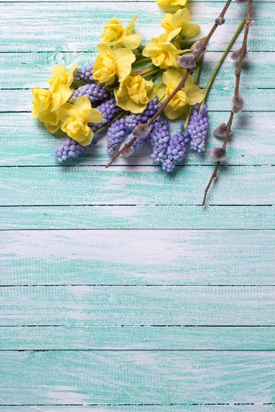 春の黄色と青の花 — ストック写真