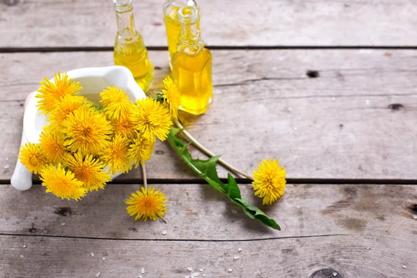 Fresh yellow flowers — Stock Photo, Image