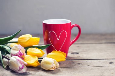 Parlak sarı ve beyaz laleler bahar 