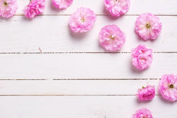 Ram från Rosa sakura blommor — Stockfoto