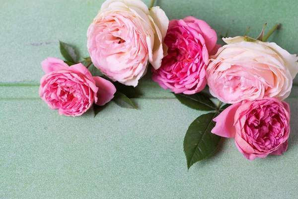 粉红色和白色玫瑰的框架 — 图库照片