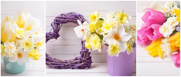 Narcisos amarillos y tulipanes flores — Foto de Stock